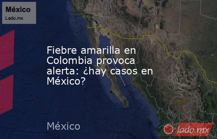 Fiebre amarilla en Colombia provoca alerta: ¿hay casos en México?. Noticias en tiempo real