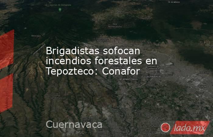 Brigadistas sofocan incendios forestales en Tepozteco: Conafor. Noticias en tiempo real