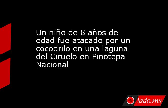 Un niño de 8 años de edad fue atacado por un cocodrilo en una laguna del Ciruelo en Pinotepa Nacional. Noticias en tiempo real