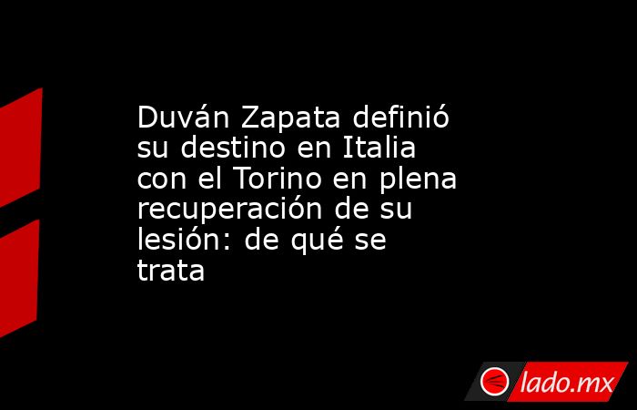 Duván Zapata definió su destino en Italia con el Torino en plena recuperación de su lesión: de qué se trata . Noticias en tiempo real
