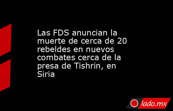 Las FDS anuncian la muerte de cerca de 20 rebeldes en nuevos combates cerca de la presa de Tishrin, en Siria. Noticias en tiempo real