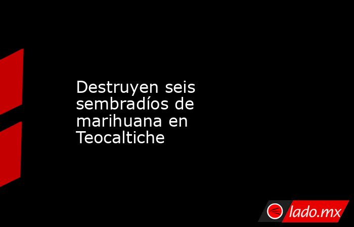 Destruyen seis sembradíos de marihuana en Teocaltiche. Noticias en tiempo real
