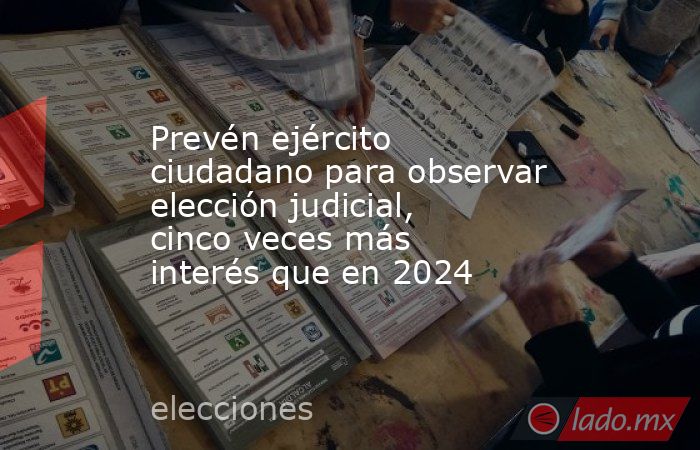 Prevén ejército ciudadano para observar elección judicial, cinco veces más interés que en 2024. Noticias en tiempo real