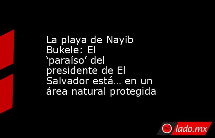 La playa de Nayib Bukele: El ‘paraíso’ del presidente de El Salvador está… en un área natural protegida. Noticias en tiempo real