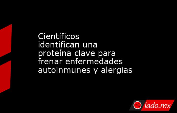 Científicos identifican una proteína clave para frenar enfermedades autoinmunes y alergias. Noticias en tiempo real