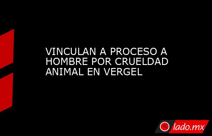 VINCULAN A PROCESO A HOMBRE POR CRUELDAD ANIMAL EN VERGEL. Noticias en tiempo real
