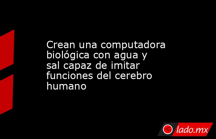 Crean una computadora biológica con agua y sal capaz de imitar funciones del cerebro humano. Noticias en tiempo real