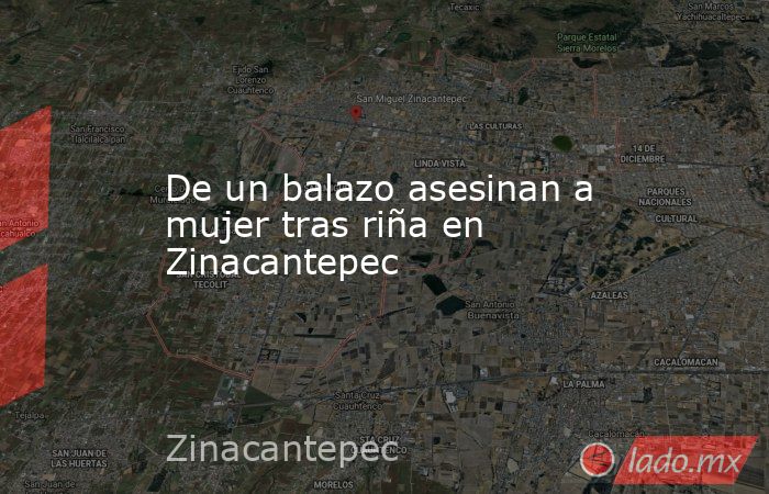 De un balazo asesinan a mujer tras riña en Zinacantepec. Noticias en tiempo real
