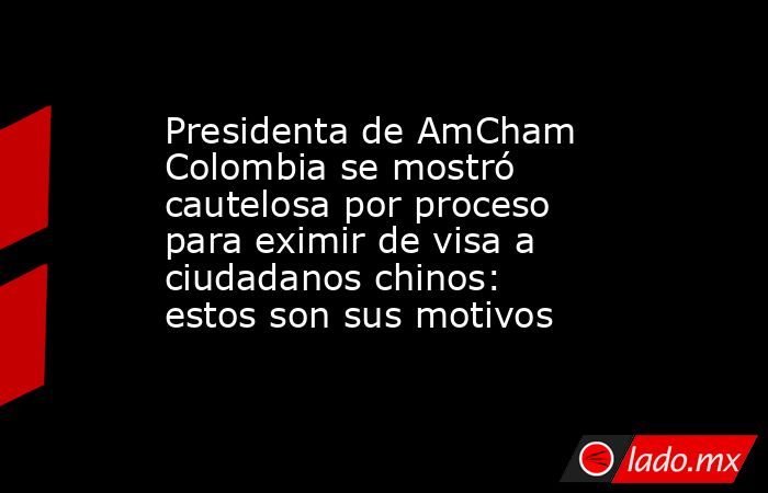 Presidenta de AmCham Colombia se mostró cautelosa por proceso para eximir de visa a ciudadanos chinos: estos son sus motivos. Noticias en tiempo real