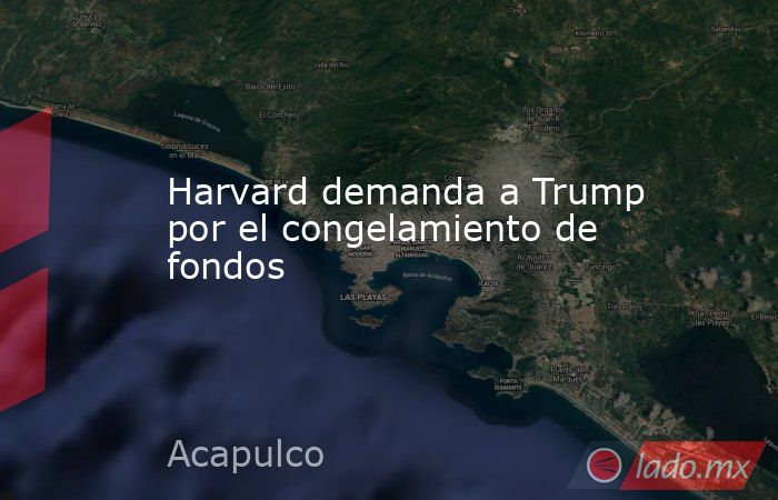 Harvard demanda a Trump por el congelamiento de fondos. Noticias en tiempo real