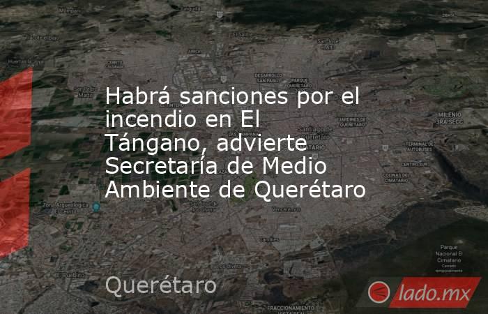 Habrá sanciones por el incendio en El Tángano, advierte Secretaría de Medio Ambiente de Querétaro. Noticias en tiempo real
