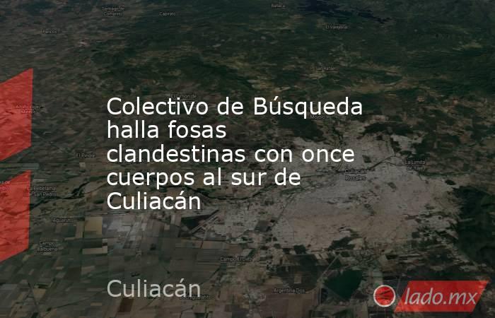 Colectivo de Búsqueda halla fosas clandestinas con once cuerpos al sur de Culiacán. Noticias en tiempo real