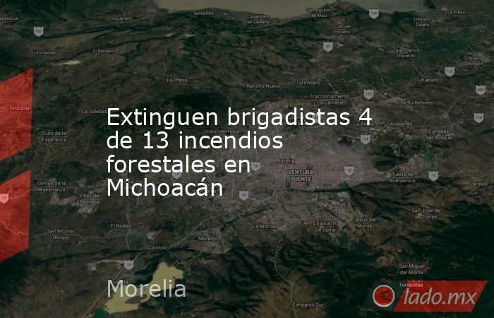 Extinguen brigadistas 4 de 13 incendios forestales en Michoacán. Noticias en tiempo real