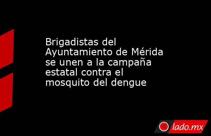 Brigadistas del Ayuntamiento de Mérida se unen a la campaña estatal contra el mosquito del dengue. Noticias en tiempo real