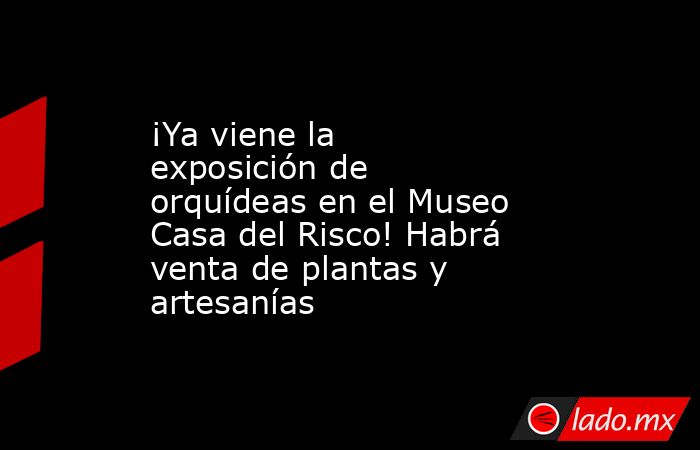 ¡Ya viene la exposición de orquídeas en el Museo Casa del Risco! Habrá venta de plantas y artesanías. Noticias en tiempo real