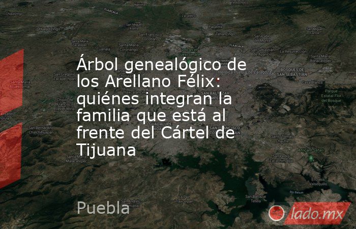 Árbol genealógico de los Arellano Félix: quiénes integran la familia que está al frente del Cártel de Tijuana. Noticias en tiempo real