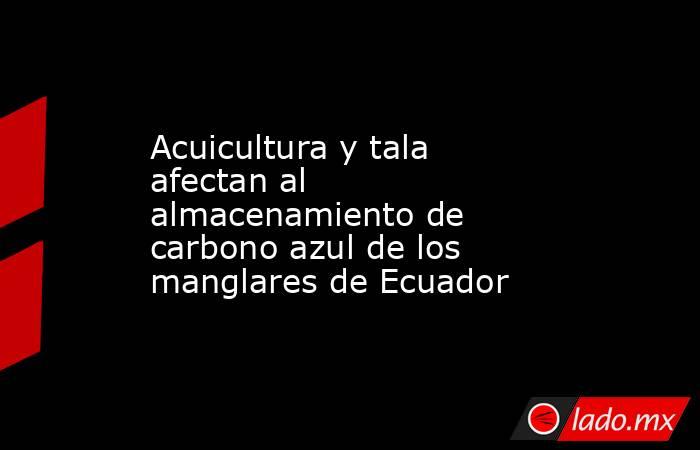 Acuicultura y tala afectan al almacenamiento de carbono azul de los manglares de Ecuador. Noticias en tiempo real