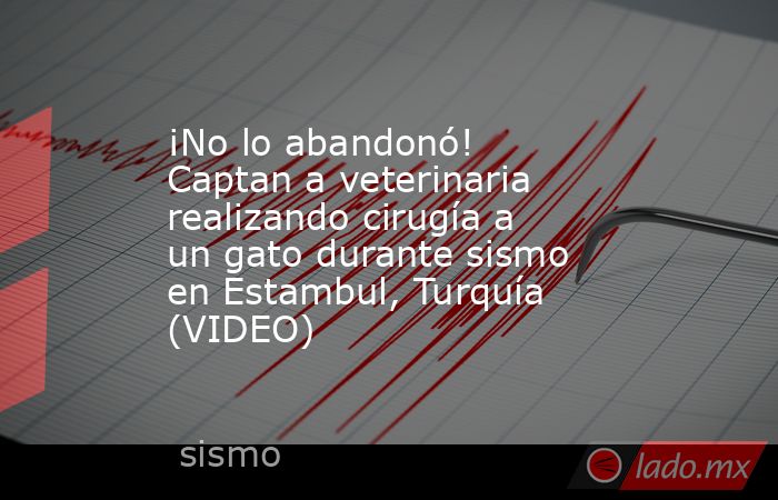 ¡No lo abandonó! Captan a veterinaria realizando cirugía a un gato durante sismo en Estambul, Turquía (VIDEO). Noticias en tiempo real