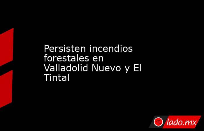 Persisten incendios forestales en Valladolid Nuevo y El Tintal. Noticias en tiempo real
