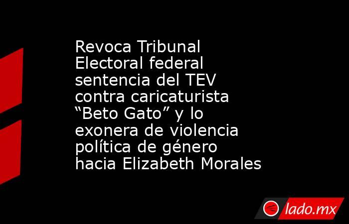 Revoca Tribunal Electoral federal sentencia del TEV contra caricaturista “Beto Gato” y lo exonera de violencia política de género hacia Elizabeth Morales. Noticias en tiempo real
