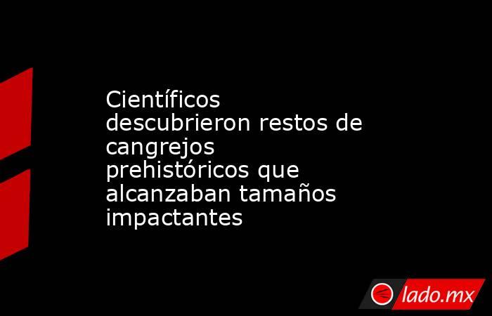 Científicos descubrieron restos de cangrejos prehistóricos que alcanzaban tamaños impactantes. Noticias en tiempo real