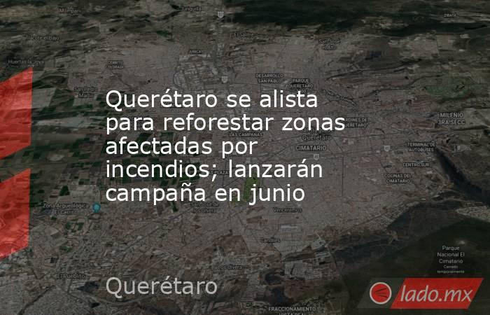Querétaro se alista para reforestar zonas afectadas por incendios; lanzarán campaña en junio. Noticias en tiempo real