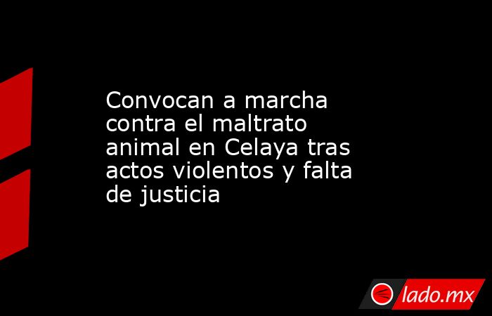 Convocan a marcha contra el maltrato animal en Celaya tras actos violentos y falta de justicia. Noticias en tiempo real