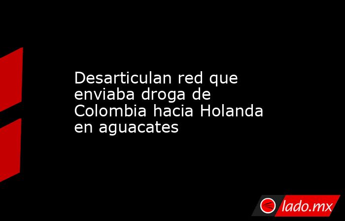 Desarticulan red que enviaba droga de Colombia hacia Holanda en aguacates. Noticias en tiempo real