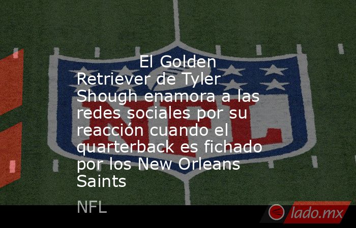                                                                                    El Golden Retriever de Tyler Shough enamora a las redes sociales por su reacción cuando el quarterback es fichado por los New Orleans Saints                                . Noticias en tiempo real