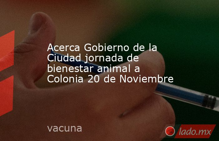 Acerca Gobierno de la Ciudad jornada de bienestar animal a Colonia 20 de Noviembre. Noticias en tiempo real
