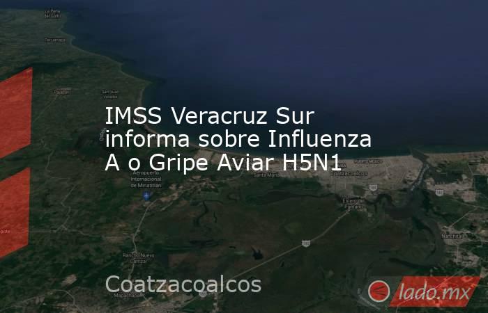 IMSS Veracruz Sur informa sobre Influenza A o Gripe Aviar H5N1. Noticias en tiempo real