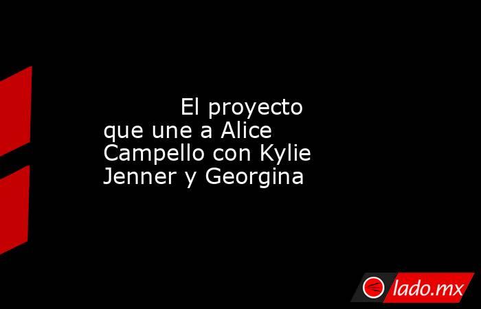                                                                                                           El proyecto que une a Alice Campello con Kylie Jenner y Georgina                                                                                     . Noticias en tiempo real