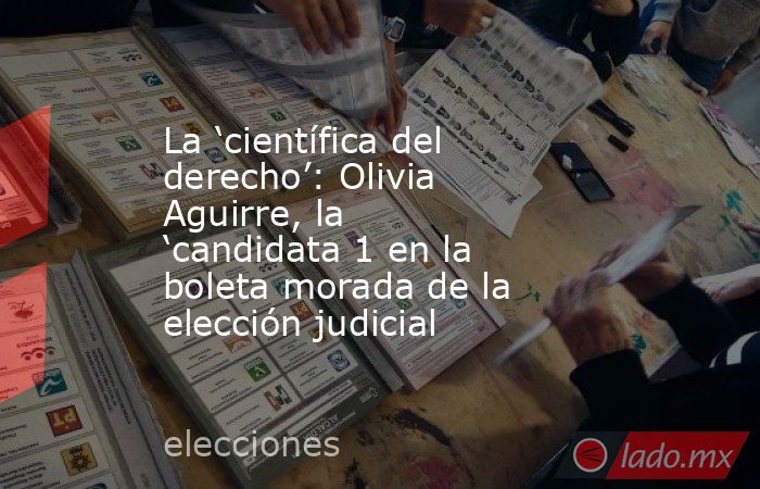 La ‘científica del derecho’: Olivia Aguirre, la ‘candidata 1 en la boleta morada de la elección judicial. Noticias en tiempo real