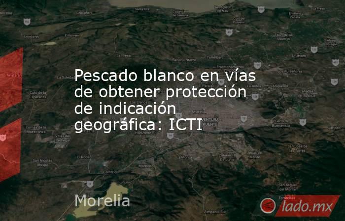 Pescado blanco en vías de obtener protección de indicación geográfica: ICTI. Noticias en tiempo real