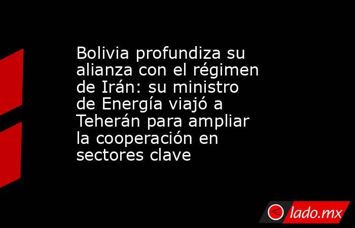 Bolivia profundiza su alianza con el régimen de Irán: su ministro de Energía viajó a Teherán para ampliar la cooperación en sectores clave . Noticias en tiempo real