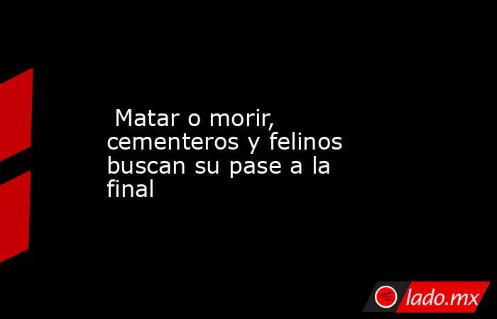  Matar o morir, cementeros y felinos buscan su pase a la final. Noticias en tiempo real