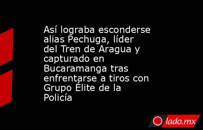 Así lograba esconderse alias Pechuga, líder del Tren de Aragua y capturado en Bucaramanga tras enfrentarse a tiros con Grupo Élite de la Policía. Noticias en tiempo real