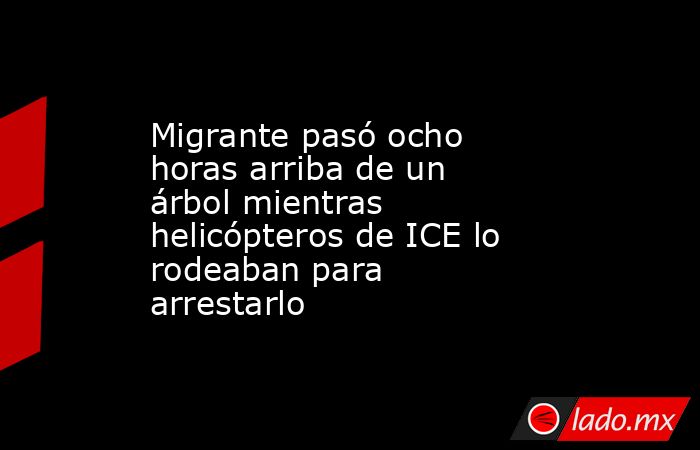Migrante pasó ocho horas arriba de un árbol mientras helicópteros de ICE lo rodeaban para arrestarlo. Noticias en tiempo real