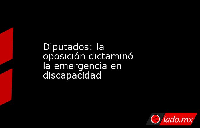 Diputados: la oposición dictaminó la emergencia en discapacidad. Noticias en tiempo real
