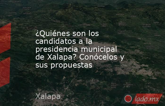 ¿Quiénes son los candidatos a la presidencia municipal de Xalapa? Conócelos y sus propuestas. Noticias en tiempo real