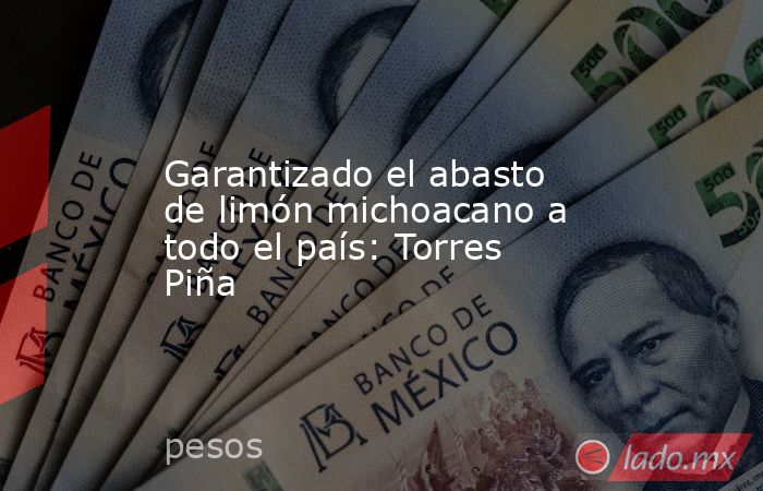 Garantizado el abasto de limón michoacano a todo el país: Torres Piña. Noticias en tiempo real