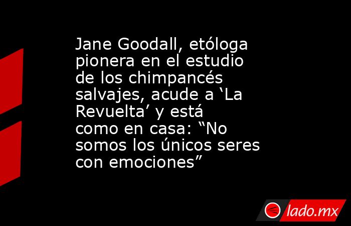 Jane Goodall, etóloga pionera en el estudio de los chimpancés salvajes, acude a ‘La Revuelta’ y está como en casa: “No somos los únicos seres con emociones”. Noticias en tiempo real