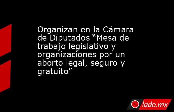 Organizan en la Cámara de Diputados “Mesa de trabajo legislativo y organizaciones por un aborto legal, seguro y gratuito”. Noticias en tiempo real