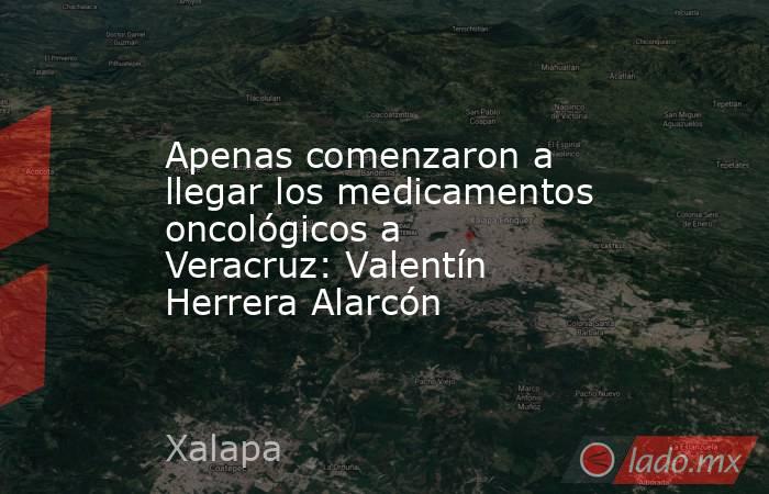 Apenas comenzaron a llegar los medicamentos oncológicos a Veracruz: Valentín Herrera Alarcón. Noticias en tiempo real
