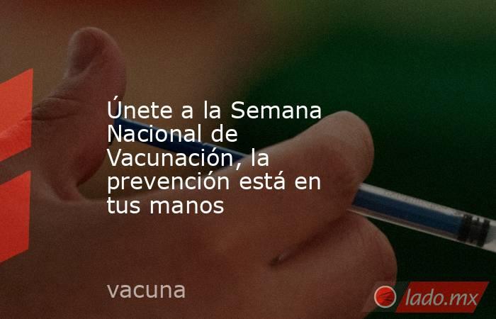 Únete a la Semana Nacional de Vacunación, la prevención está en tus manos. Noticias en tiempo real