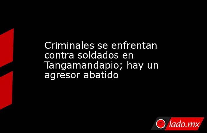 Criminales se enfrentan contra soldados en Tangamandapio; hay un agresor abatido. Noticias en tiempo real