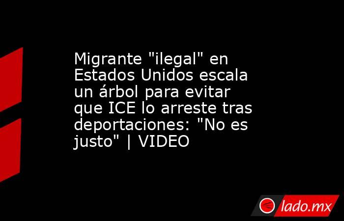 Migrante 