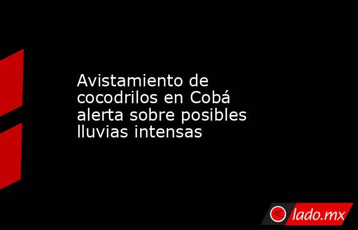 Avistamiento de cocodrilos en Cobá alerta sobre posibles lluvias intensas. Noticias en tiempo real