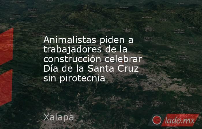 Animalistas piden a trabajadores de la construcción celebrar Día de la Santa Cruz sin pirotecnia . Noticias en tiempo real