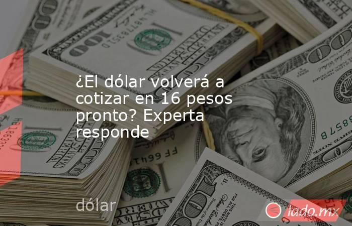 ¿El dólar volverá a cotizar en 16 pesos pronto? Experta responde. Noticias en tiempo real